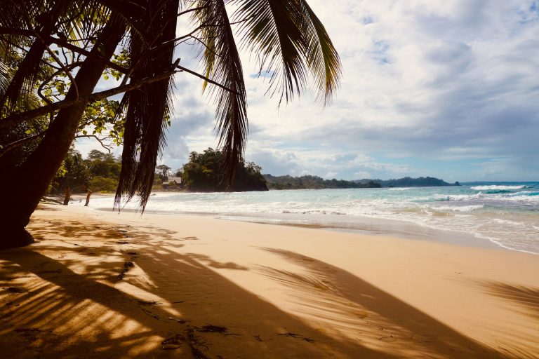 bocas del toro